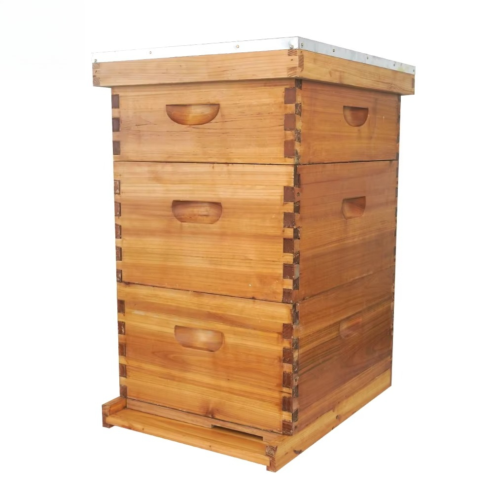 Beehive Frame Wax - Ruche Langstroth complète à 3 couches,