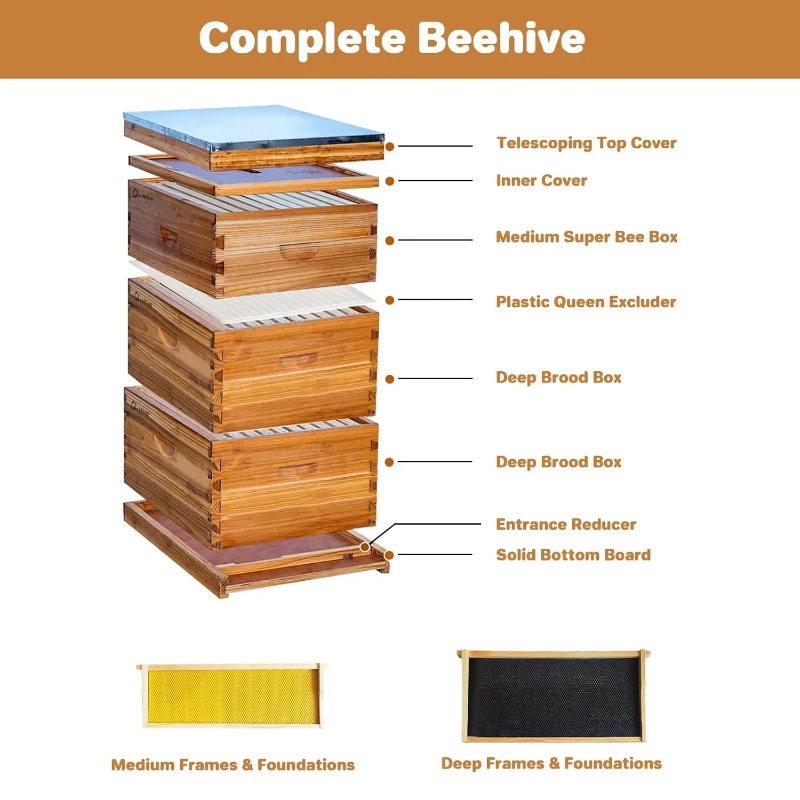 Kit complet de ruche à 10 cadr - Beehive Frame Wax avis et prix