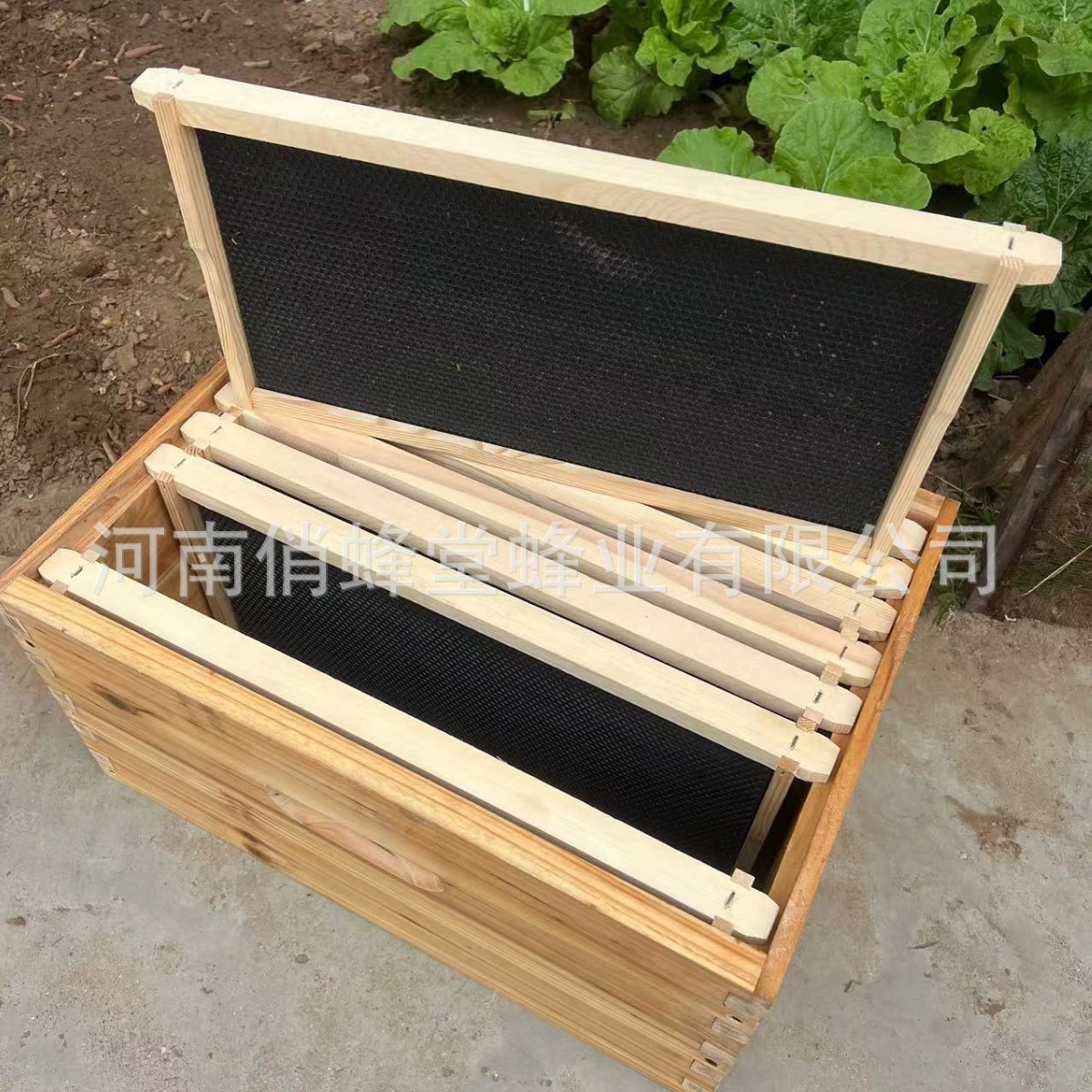 Outils d'apiculture de premièr - Beehive Frame Wax avis et prix