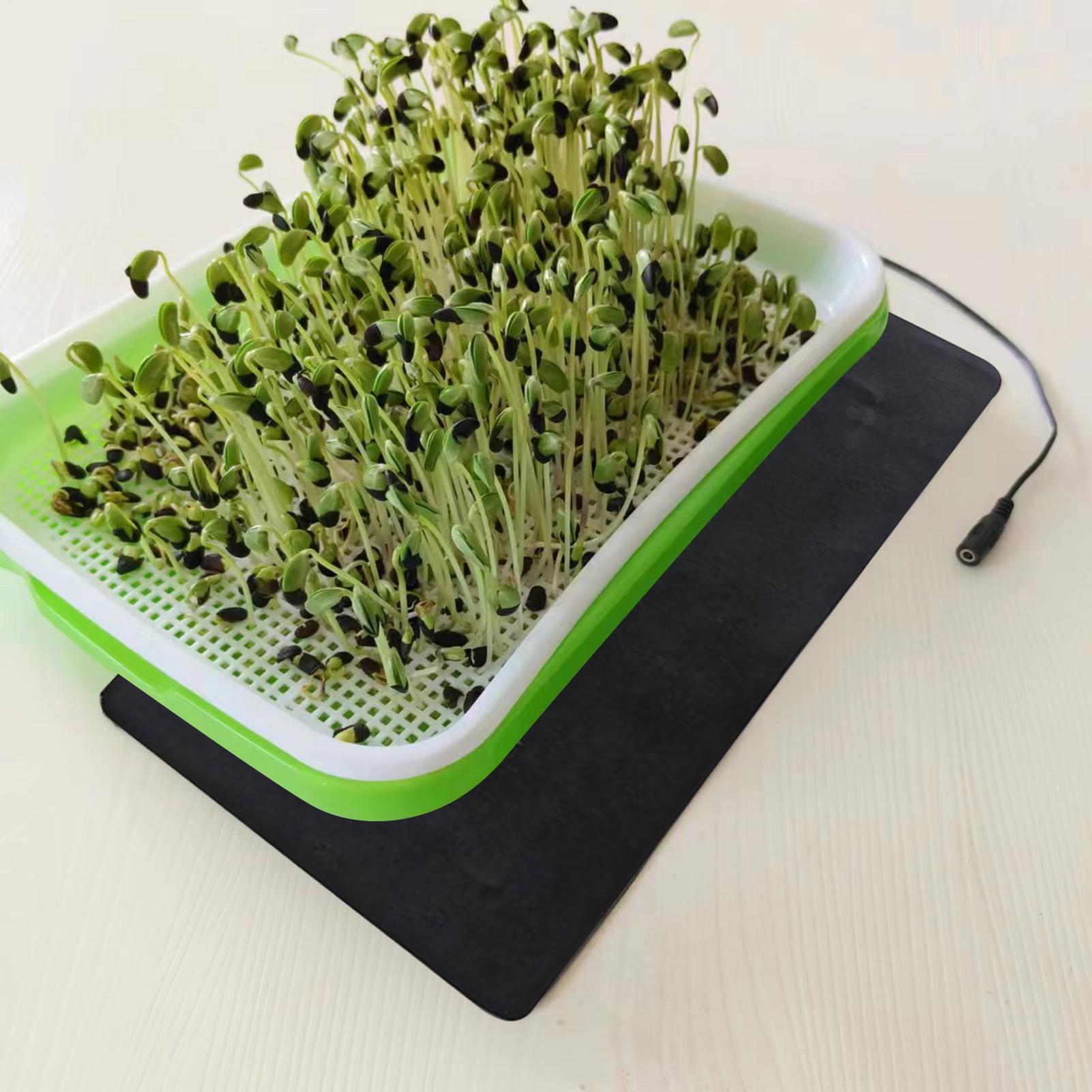 Tapis chauffant pour semis 5V  - Seedling Heat Mat avis et prix